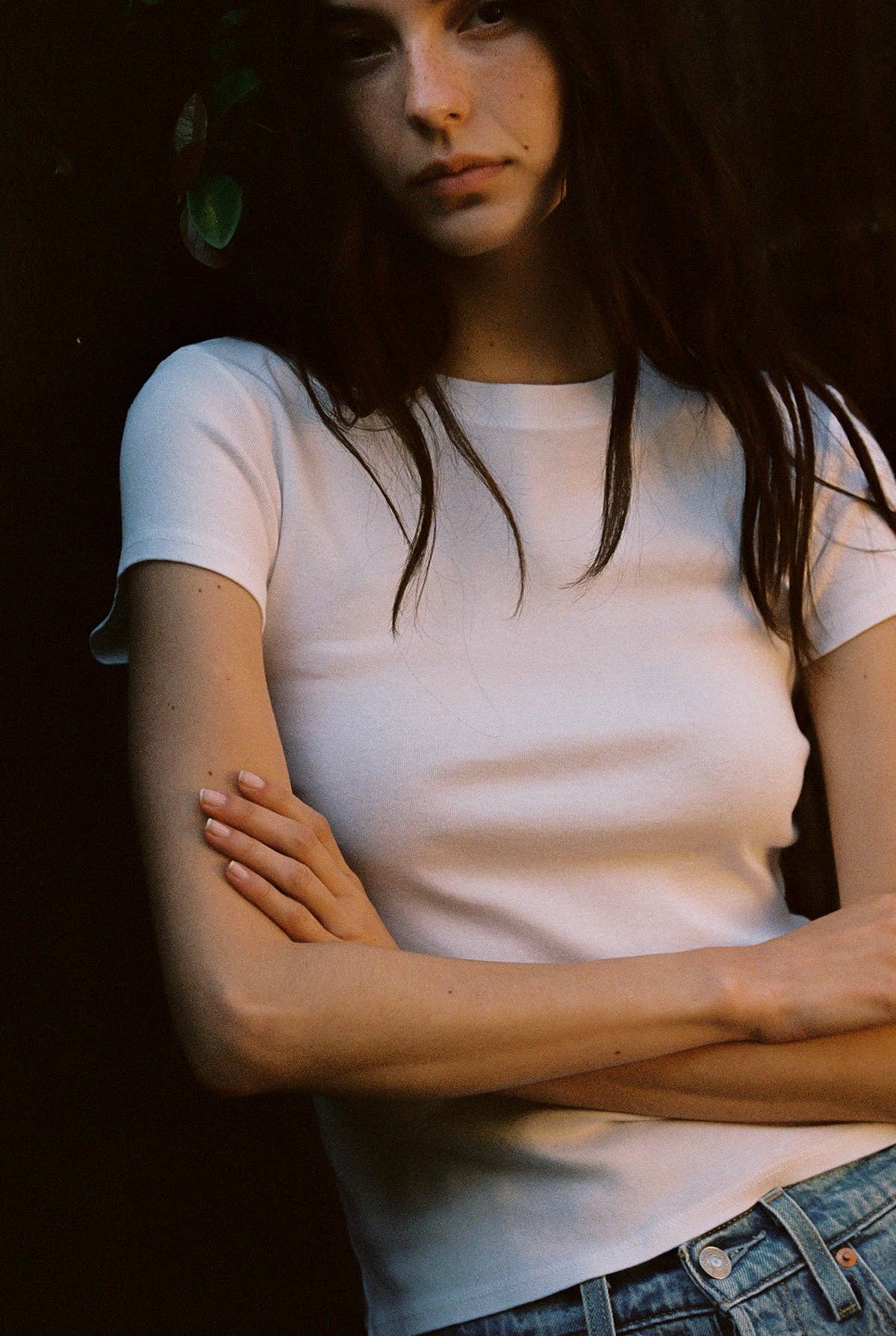 Bebe Organic Tee: Heather Gray / M
