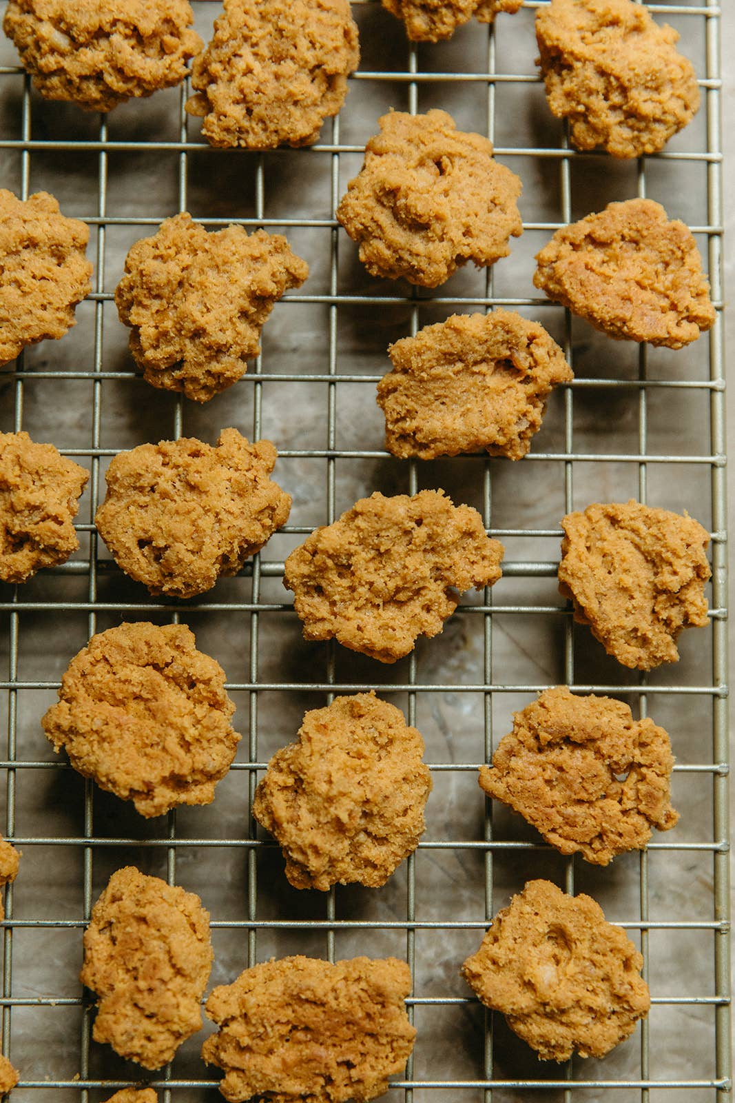Samples (Jalapeno Pimento Cheese Crackers) - 15 oz